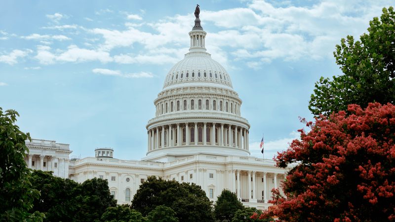United States Capitol building framed by trees